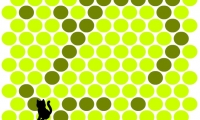 Chat Noir