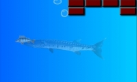 Aquabreaker