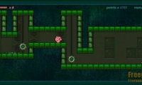 Pigdream