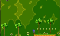 Sonic Xtreme