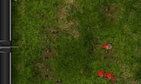 Armed Invasion
