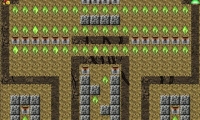 Digger Adventures