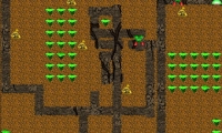 Digger Adventures