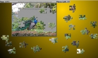 Peacock Jigsaw Puzzle