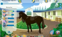 Horse Saga