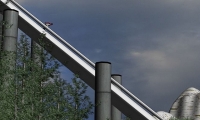 Ski Jump DX