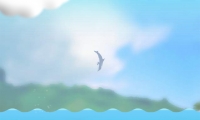 Dolphin Olympics 2