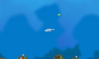 Dolphin Olympics 2