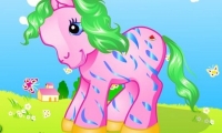 Lovely Pony 