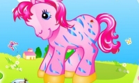 Lovely Pony 