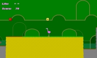 Flamingo Island 2005