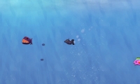 The New Hungry Fish!