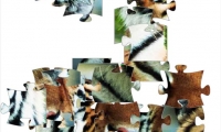 Tiger Jigsaw Puzzle