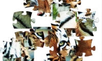 Tiger Jigsaw Puzzle