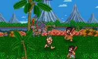 Caveman Ninja