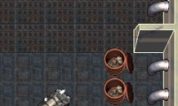 The Nutracker