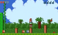 Mario USA
