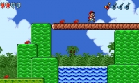 Mario USA