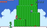 Mario USA