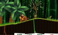 Donkey kong jungle ride
