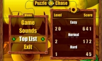 Puzzle Chase
