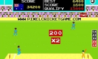 Pixel Cricket Multiplayer