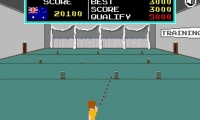 Pixel Cricket Multiplayer