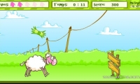 Saute Moutons
