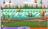 Shoot the Birds