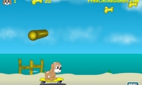 Maxim's Seaside Adventure