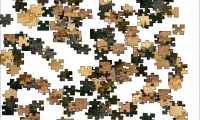 Jigsaw: Crockodile
