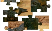 Jigsaw: Crockodile