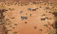 African Farm