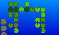 Acrofrog