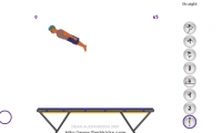 Trampoline Trickz