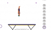 Trampoline Trickz
