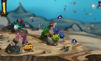 Kaleidoscope Reef