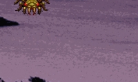 Bug
