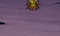 Bug