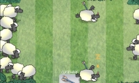 Sheep Dash