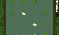 Frog Game Deluxe