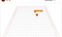 3D Worm
