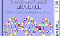 DNA Ball