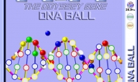 DNA Ball