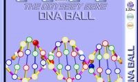 DNA Ball