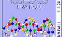 DNA Ball