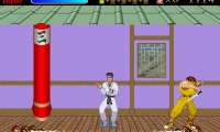 Kung-Fu Master Return