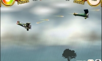 Hostile Skies