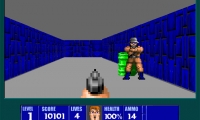 Wolfenstein 3D Headshot