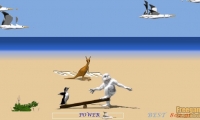 Penguin Flying